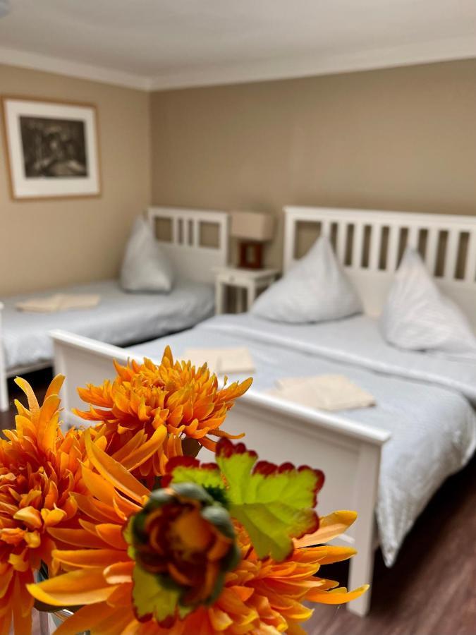 Apartmán Galerie Decin Esterno foto