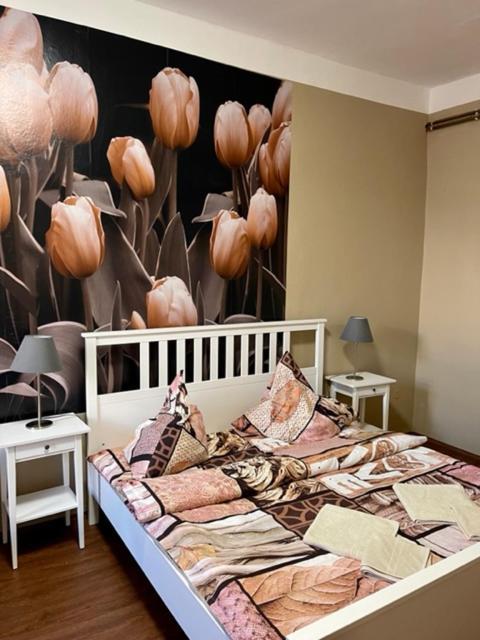 Apartmán Galerie Decin Esterno foto
