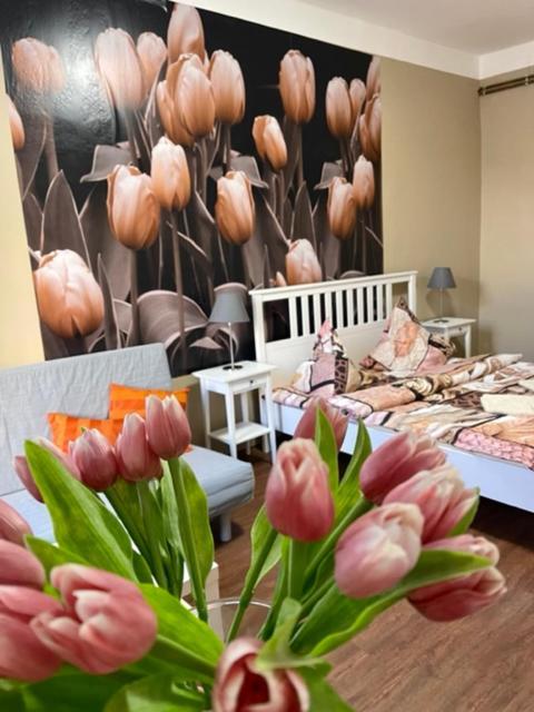 Apartmán Galerie Decin Esterno foto