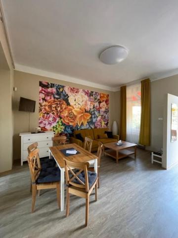 Apartmán Galerie Decin Esterno foto